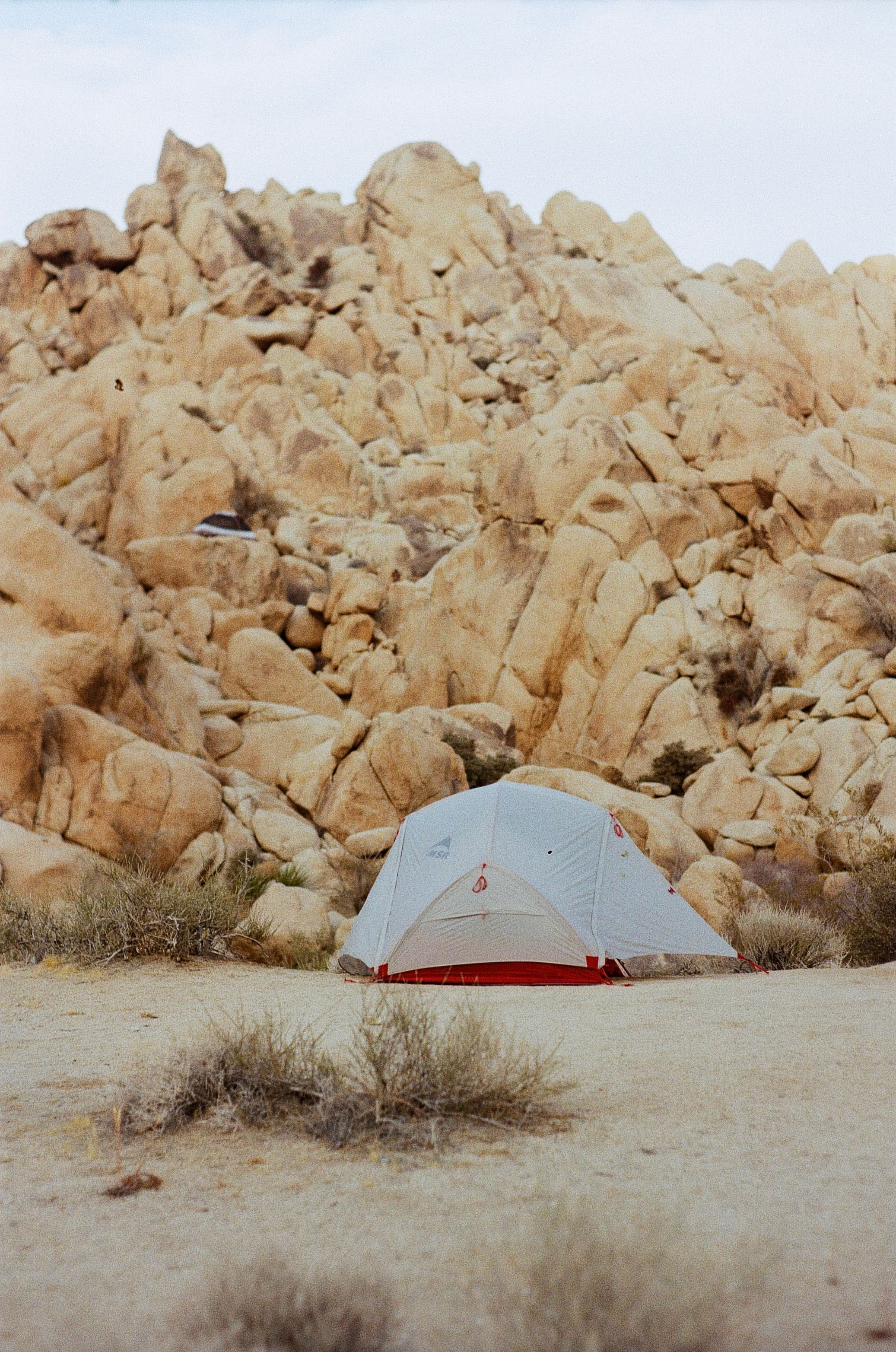 Joshua Tree — film photograph by Nicholas Kouzmanoff