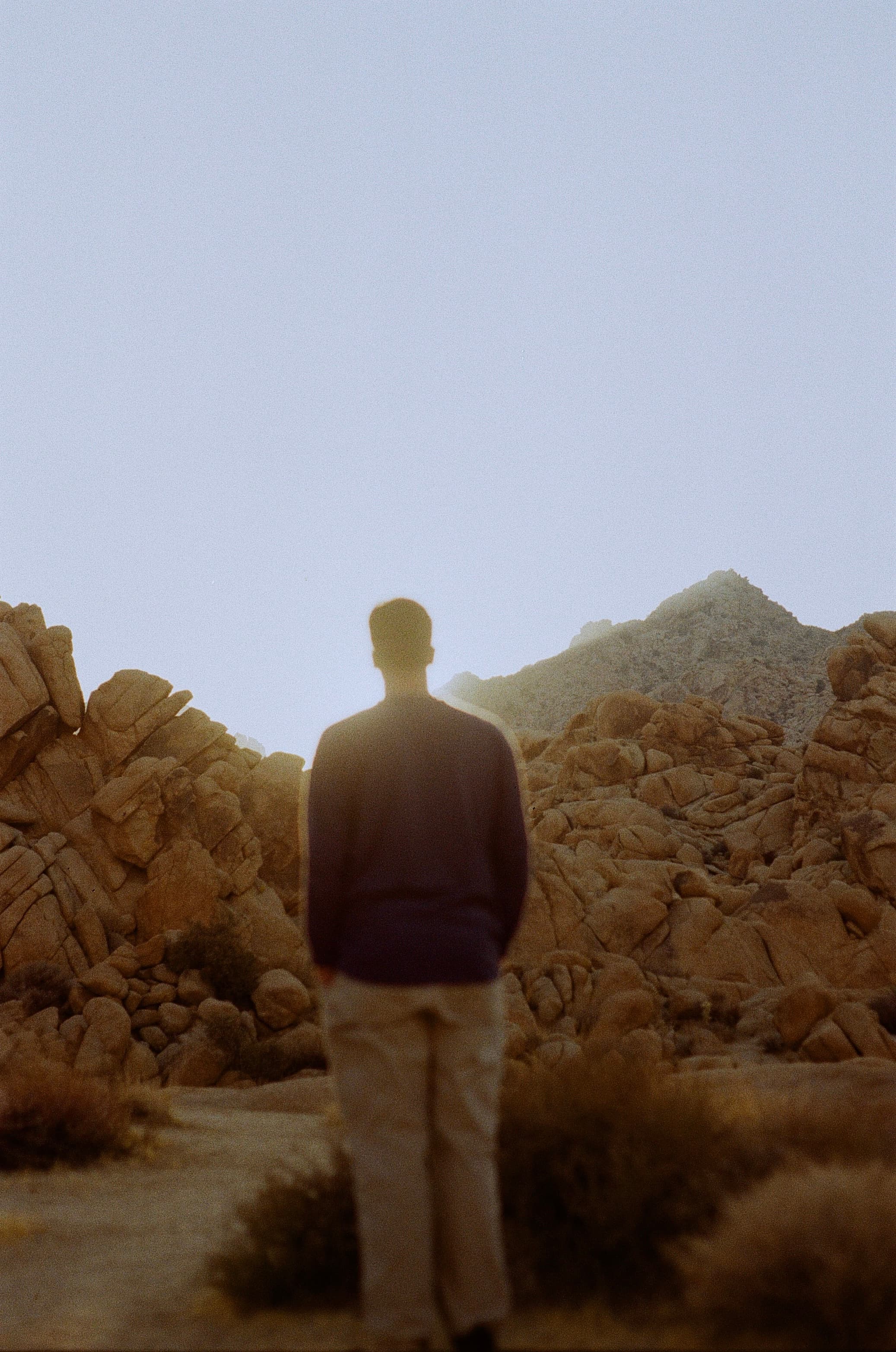 Joshua Tree — film photograph by Nicholas Kouzmanoff