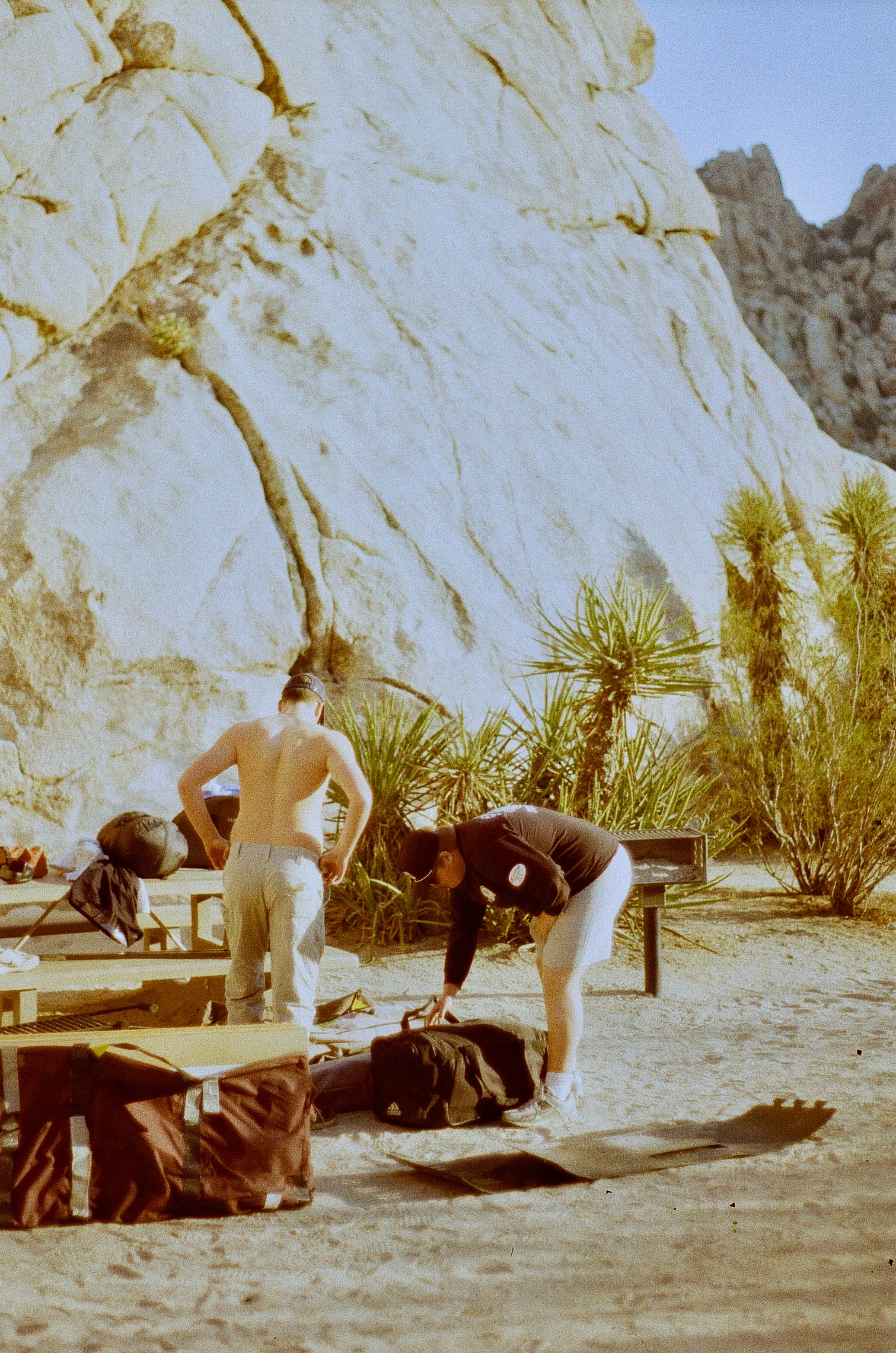 Joshua Tree — film photograph by Nicholas Kouzmanoff