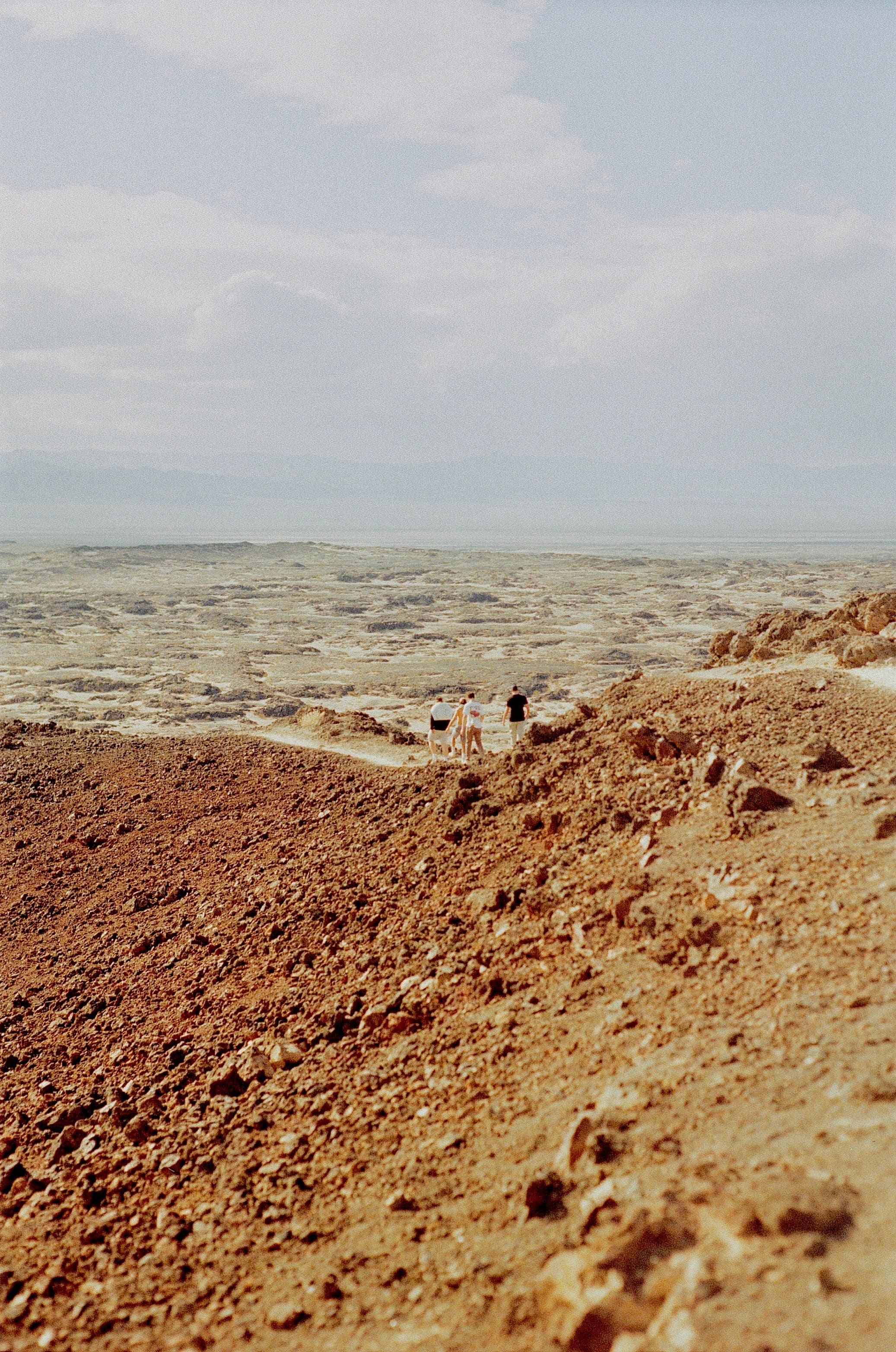Joshua Tree — collection cover