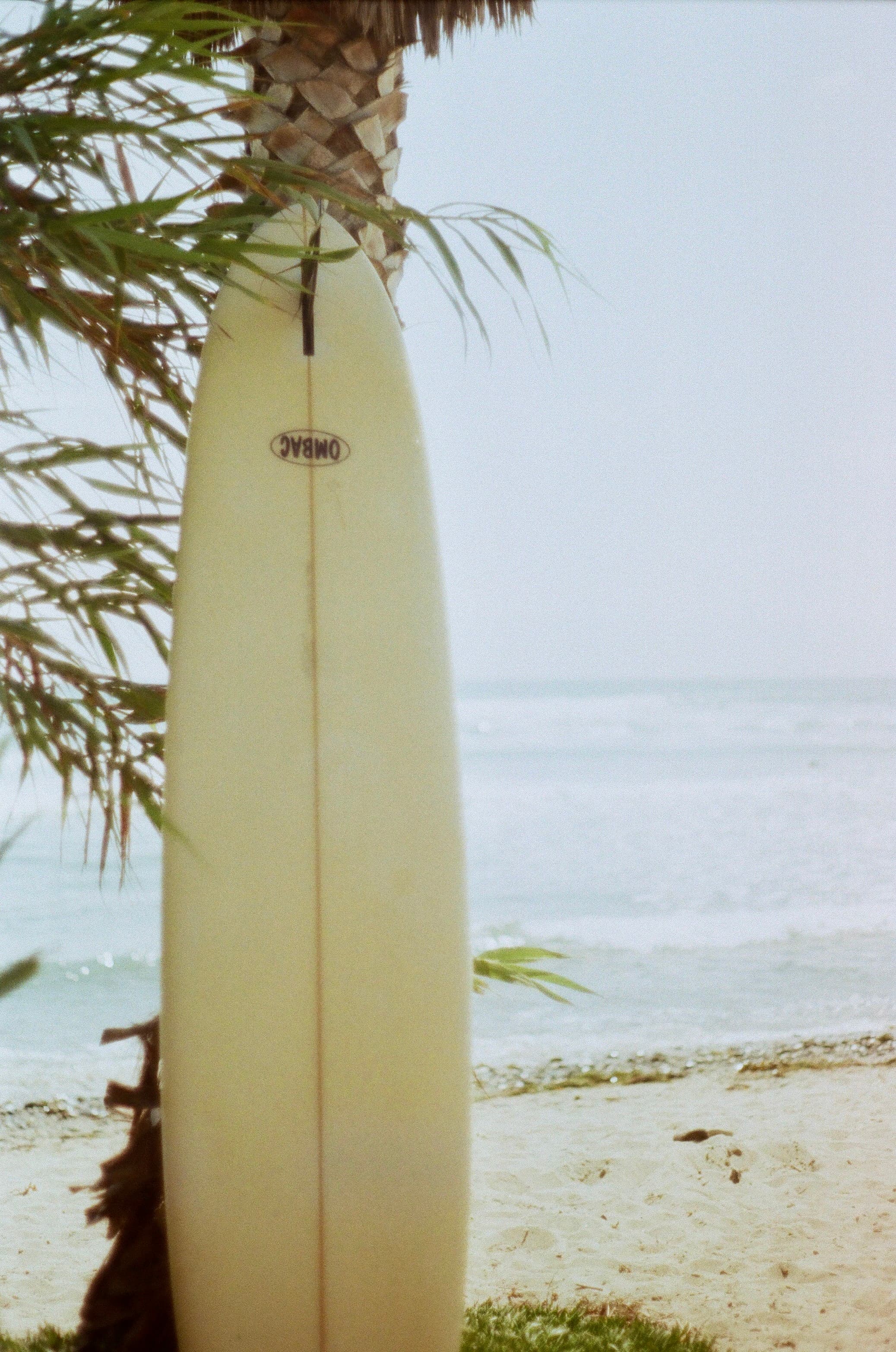 Ocean — film photograph by Nicholas Kouzmanoff