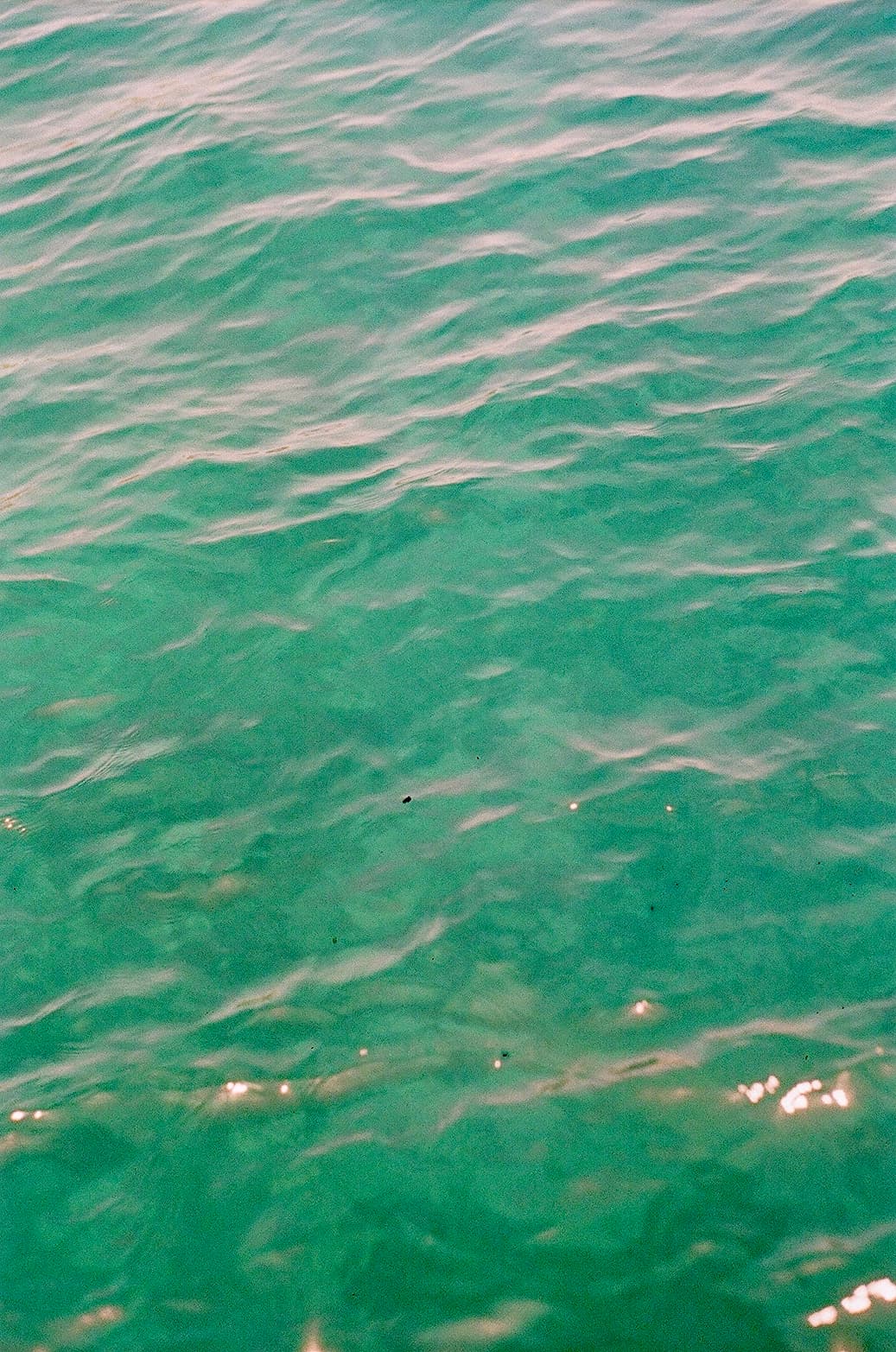 Ocean — film photograph by Nicholas Kouzmanoff