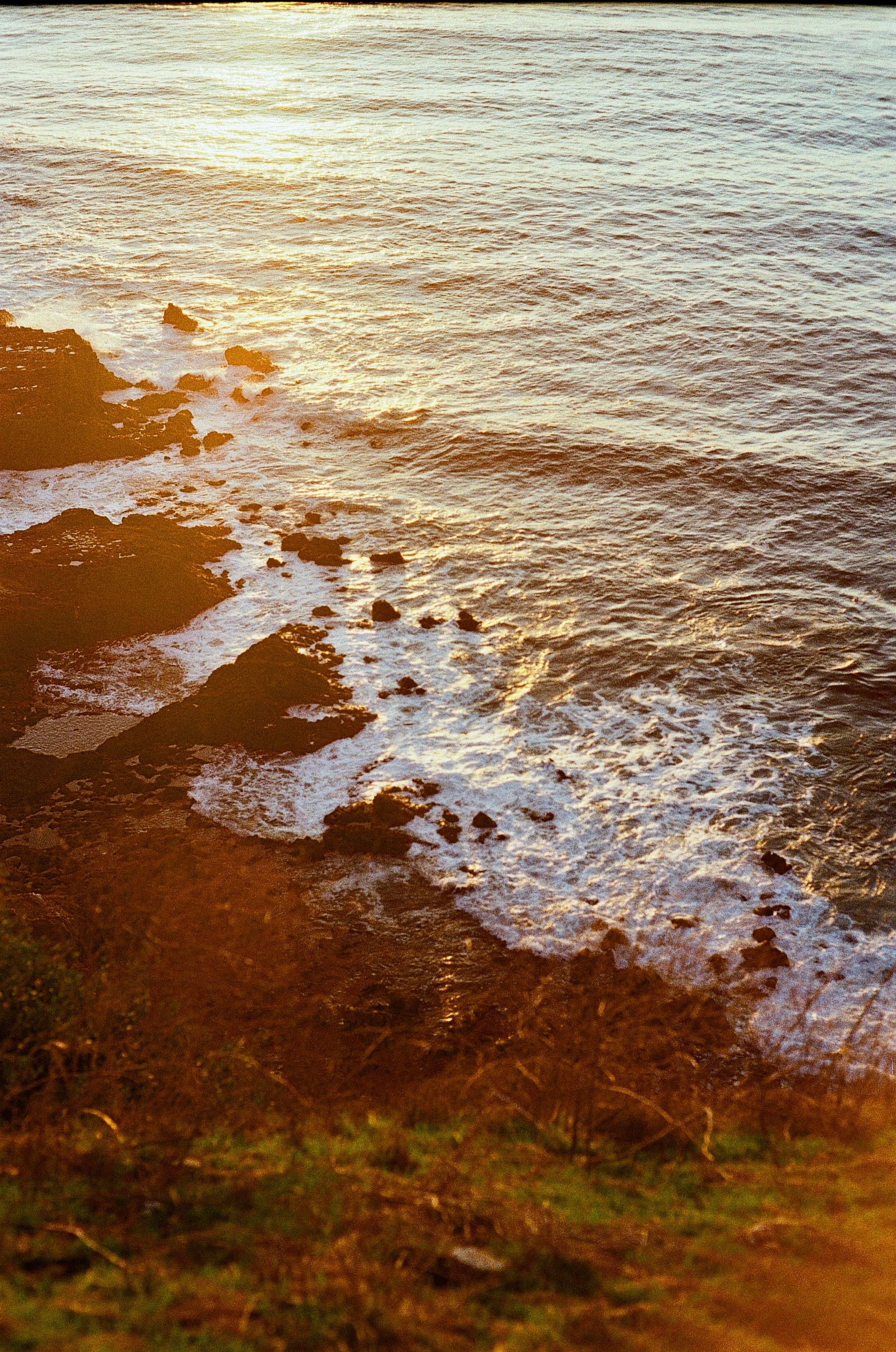 Ocean — film photograph by Nicholas Kouzmanoff